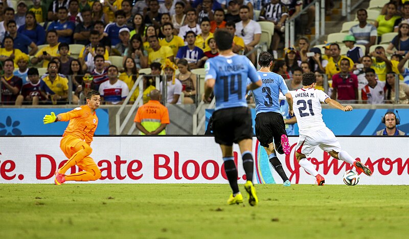 File:Uruguay - Costa Rica FIFA World Cup 2014 (15).jpg