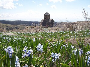 Ամրոց Ամբերդ