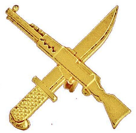 Tập_tin:Vietnam_Infantry_symbol.jpg