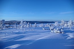 View to lake Iso-Vietonen from Liinankivaara Mountainside.jpg