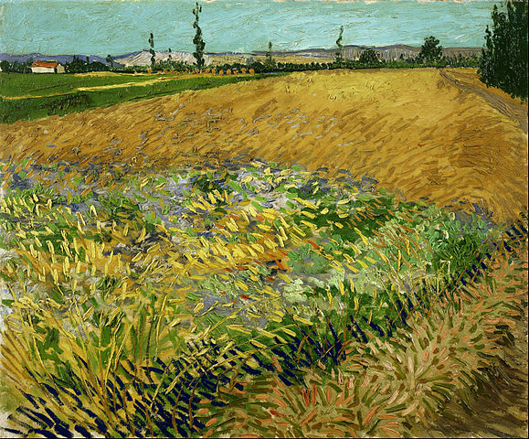 https://upload.wikimedia.org/wikipedia/commons/thumb/a/a6/Vincent_van_Gogh_-_Wheatfield_-_Google_Art_Project.jpg/579px-Vincent_van_Gogh_-_Wheatfield_-_Google_Art_Project.jpg