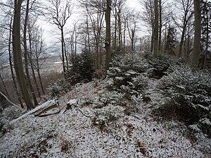 Weghausköchel highest point