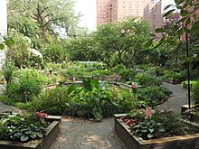 Community garden West Side Community Garden 89 St jeh.jpg