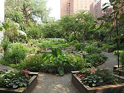 West Side Community Garden