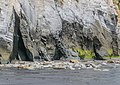 * Nomination White Cliffs in Pukearuhe in Taranaki Region, North Island of New Zealand. --Tournasol7 08:38, 16 March 2020 (UTC) * Promotion  Support Good quality. --Aristeas 09:11, 16 March 2020 (UTC)