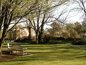 English: A summertime lawn on the campus of Wh...