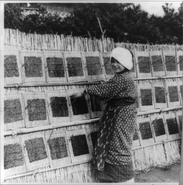 File:Woman placing seaweed, which is an important item of the Japanese diet, on rack to dry, Japan LCCN2001705652.jpg