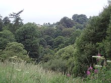 Ein Foto von Wald vor den Toren von Fankerton