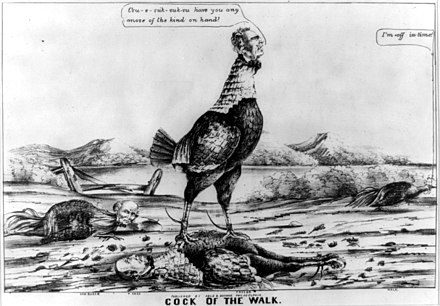 "Cock of the walk" - Zachary Taylor as victor