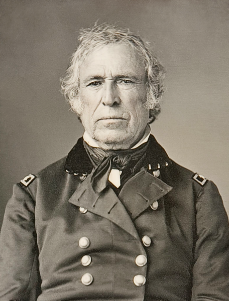 File:Zachary Taylor restored and cropped.png