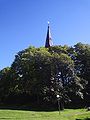 Image:Örgryte nya kyrka 20050911, trees.jpg