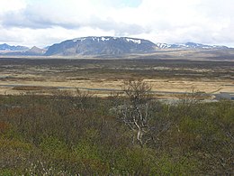 Thingvellir Islande 005.JPG