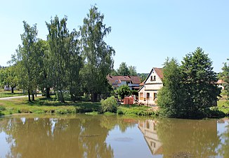 Pond on the Hořina in Černovice