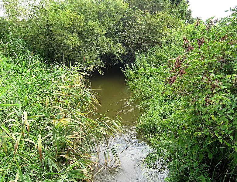 File:Čertovka creek in Lišice.jpg