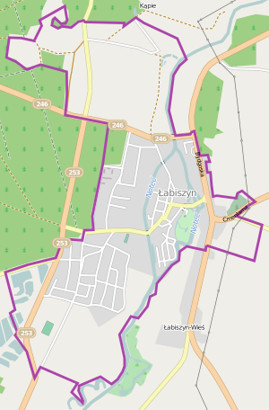 300px %c5%81abiszyn location map.svg