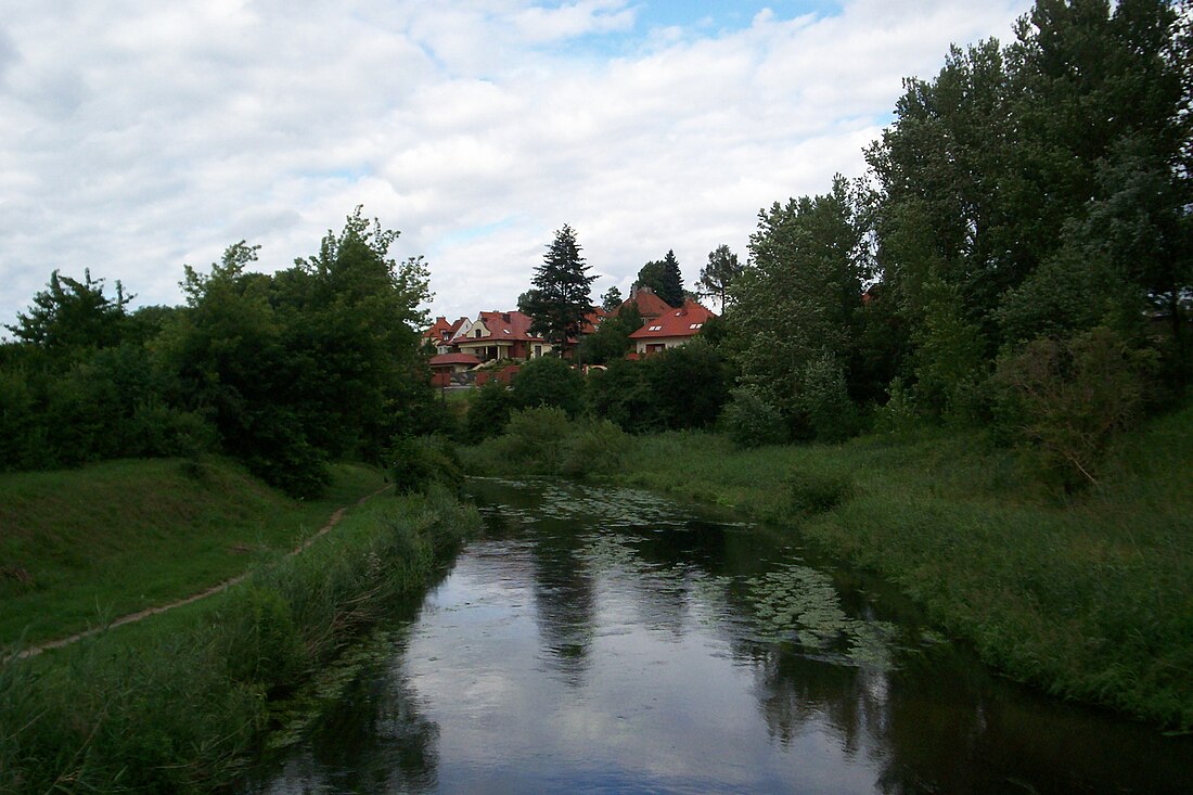 Alle (rivière)