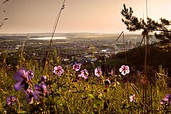 Bielokurikha.  Widok na miasto, sektor prywatny