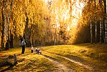 Полтавський міський парк, © Олександр Яловега, CC-BY-SA 3.0