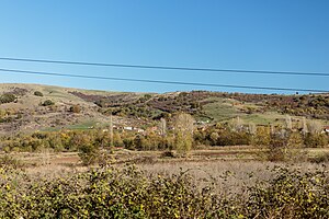 Панорамски поглед на селото Трипатанци.jpg