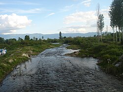 Река Турия край Доброшинци