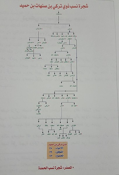 File:شجرة ذوي صنهات بن حمد بن حميد من عتيبة.jpg