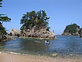 Trees in native coastal habitat, Tottori Prefecture, Japan