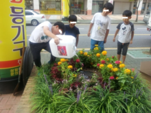 Guerrilla gardening in Incheon, Korea namja eorinideulyi gerilra gadeuning(inceon songdo-2014.9.2).png