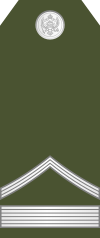 08-Montenegro Army-WO.svg