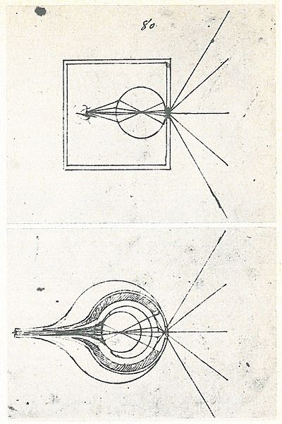 File:1490-95 da vinci - codex atlanticus.jpg