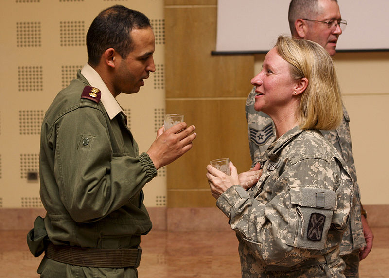 File:151st EMG Conducts Chemical Training With Moroccan Counterparts During African Lion 2010 DVIDS280113.jpg