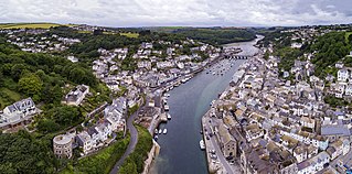 <span class="mw-page-title-main">Looe</span> Town in Cornwall, England