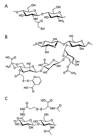 <span class="mw-page-title-main">Thiomer</span>