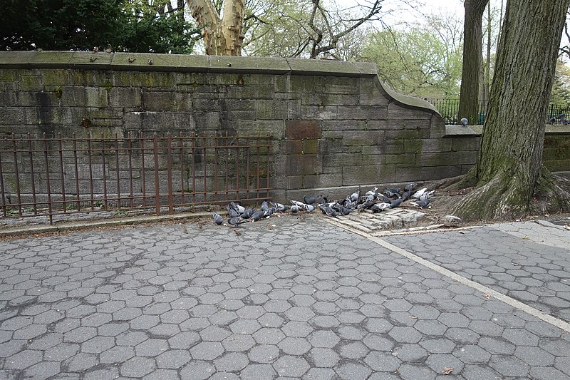 File:97th St CPW td (2019-04-18) 05 - Central Park.jpg