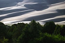 Reversing dunes above the edge of the montane forest A248, Great Sand Dunes National Park, Colorado, USA, 2008.JPG