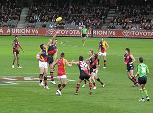 AFL match between Essendon (red and black) and Adelaide.jpg
