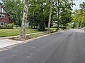 A tree lawn with street trees in Shaker Heights, Ohio