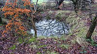 A WW2 Bomb Crater, Anderson's Mount, Lainshaw Woods, Stewarton. May 1941.jpg