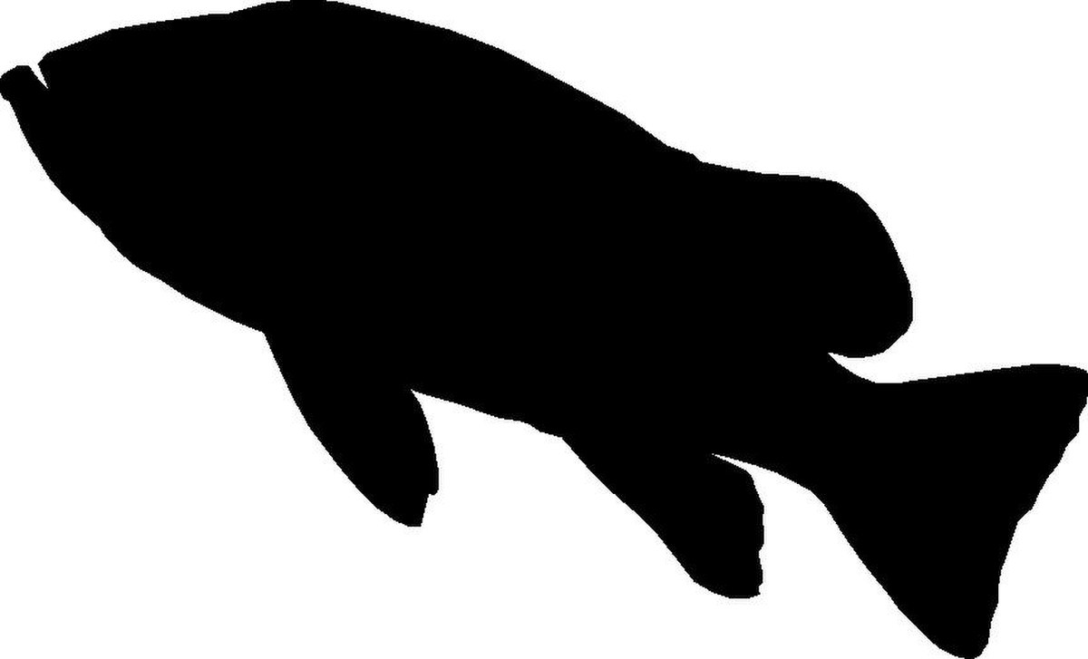 File:A fish silhouette.pdf - Wikimedia Commons