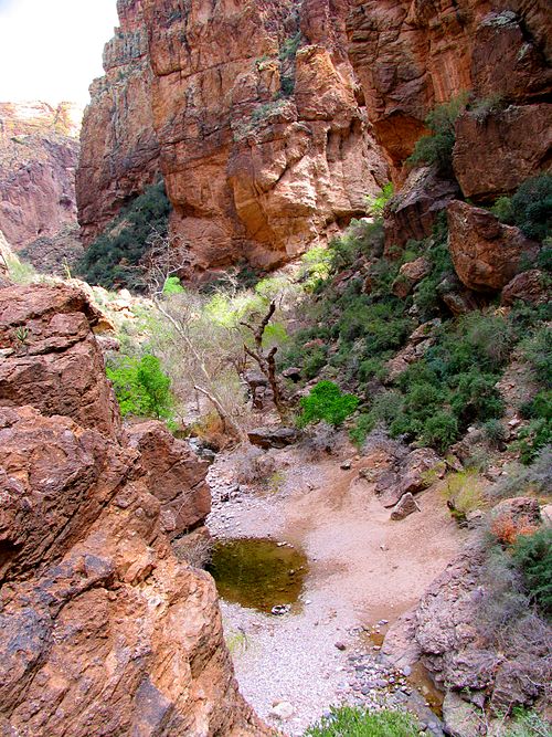 A pool of water, a remnant of the last rains, in a dry wash in Tonto National Forest