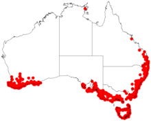 Acacia myrtifoliaDistMap620.png