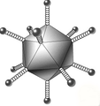 Pisipilt versioonist seisuga 1. oktoober 2013, kell 17:23