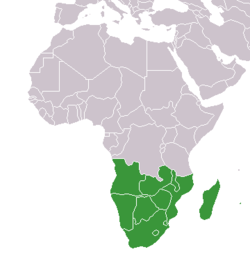 ภูมิภาค แอฟริกาใต้: ภูมิภาคในทวีปแอฟริกา