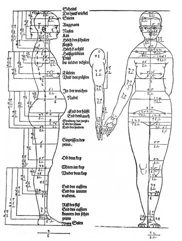 https://upload.wikimedia.org/wikipedia/commons/thumb/a/a7/Albrecht_D%C3%BCrer_-_Studies_on_the_Proportions_of_the_Female_Body_-_WGA07263.jpg/364px-Albrecht_D%C3%BCrer_-_Studies_on_the_Proportions_of_the_Female_Body_-_WGA07263.jpg