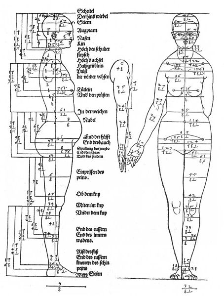 File:Albrecht Dürer - Studies on the Proportions of the Female Body - WGA07263.jpg