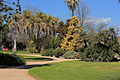 Albury botaniske hage.