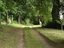 Biskupska aleja u Bałdyju