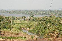 Forest along the Sanaga River at Edea, Cameroon Alentour fleuve sanaga 09.jpg