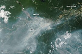 Oct 20 (1): Smoke streaming from fires burning near Manaus on October 11, 2023