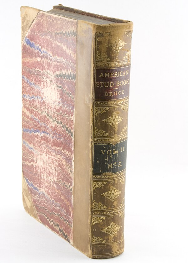 One volume of the 1873 American Stud Book