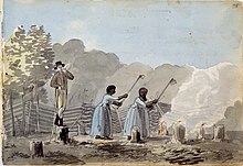 An Overseer Doing his Duty, 1798, Benjamin Henry Latrobe Sketch book, III, 33, Maryland Historical Society, Baltimore, image of enslaved women working swiddens, common when rotating crops. It came from The Atlantic Slave Trade and Slave Life in the Americas: A Visual Record, Jerome S. Handler and Michael L. Tuite Jr., Virginia Foundation for the Humanities and University of Virginia, 2006. An Overseer Doing his Duty 1798 - Benjamin Henry Latrobe.jpg